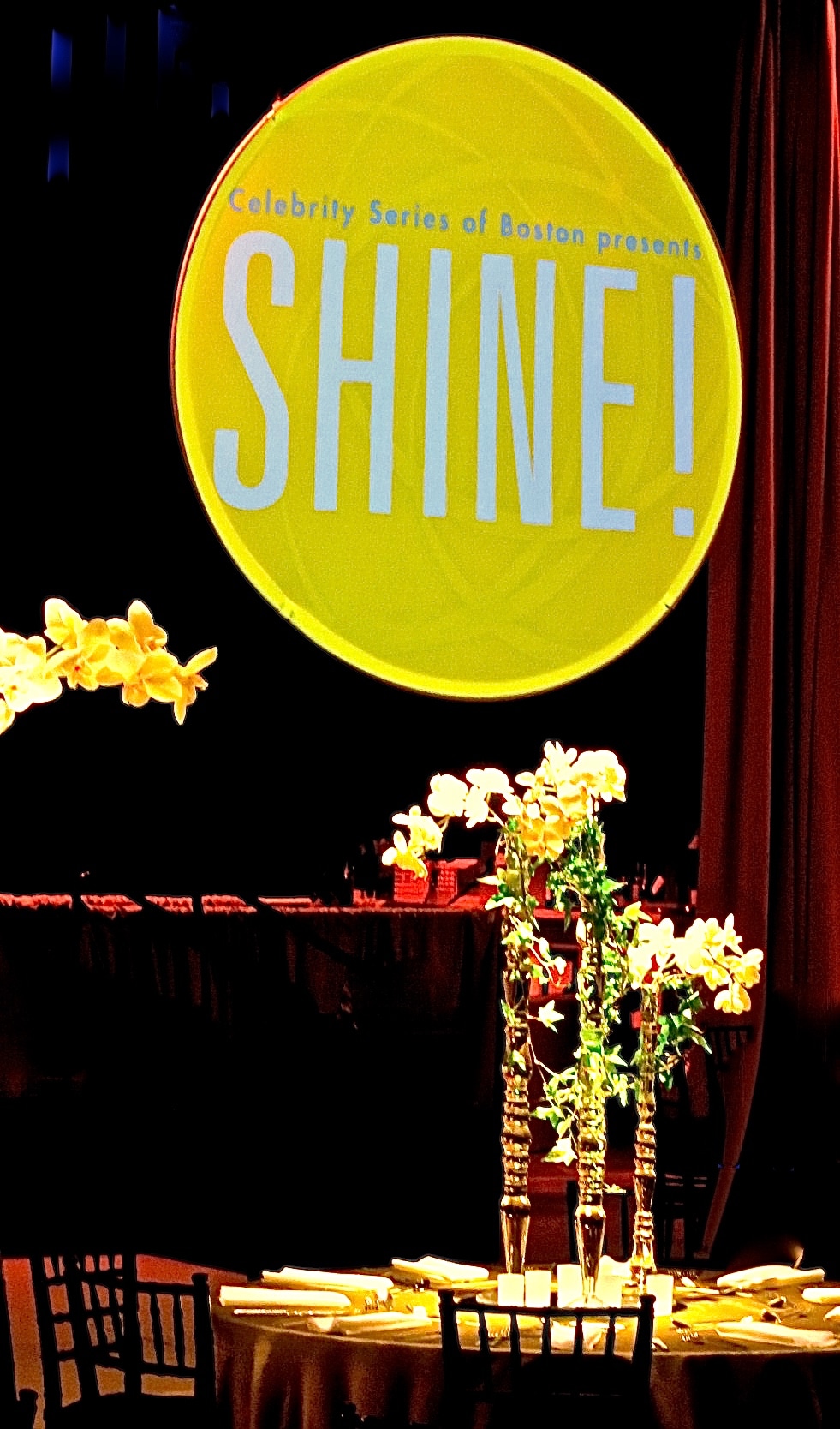 SHINE logo